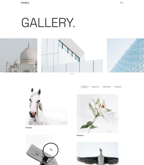 lensly-gallery-page-pco3PQt LensLy - Photography Template For Elementor